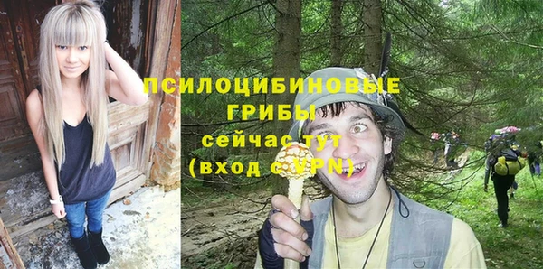 прущая мука Абаза