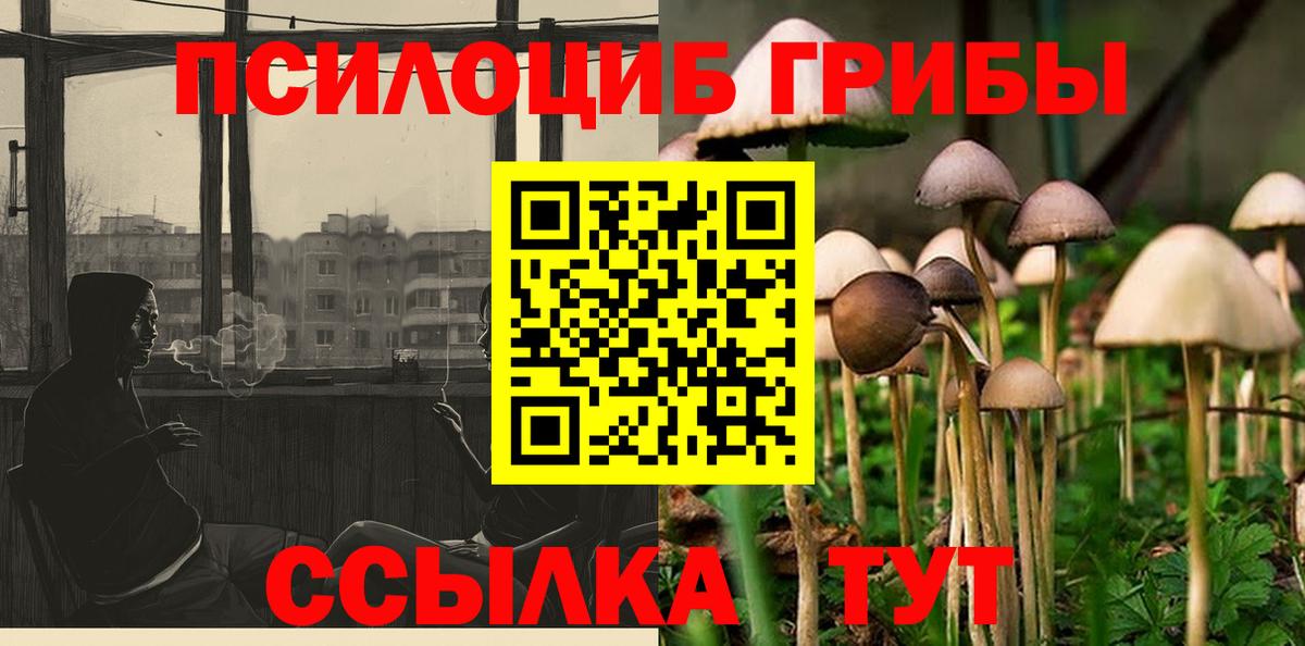Псилоцибиновые грибы Psilocybe  Вход с VPN  Фурманов 