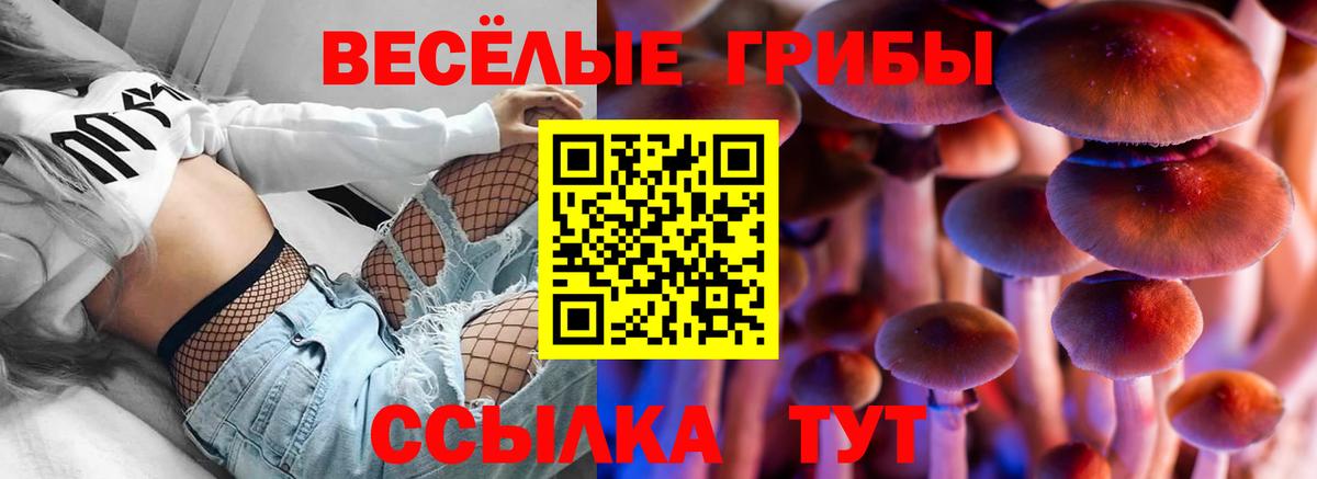 Галлюциногенные грибы Psilocybe Фурманов